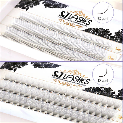 Pre Made Fan Lashes 2D