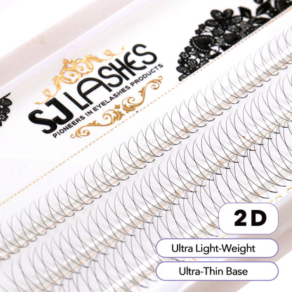 Pre Made Fan Lashes 2D