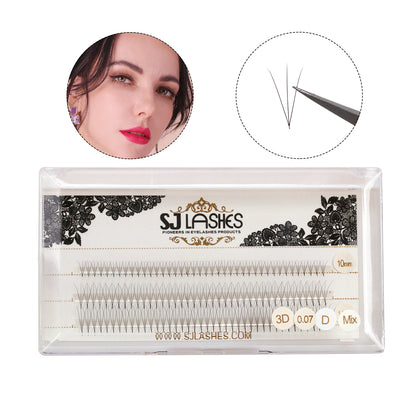 Pre Made Fan Lashes 3D