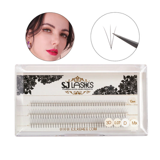 Pre Made Fan Lashes 3D