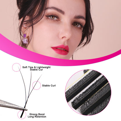 Pre Made W Shape Lashes 3D