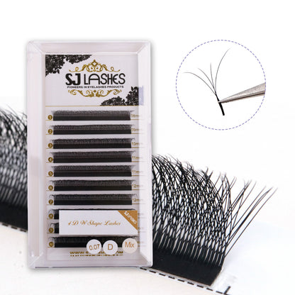 Pre Made W Shape Lashes 4D