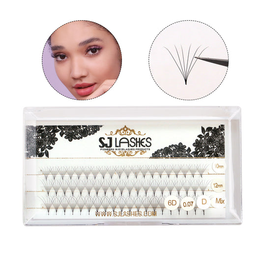 Pre Made Fan Lashes 6D