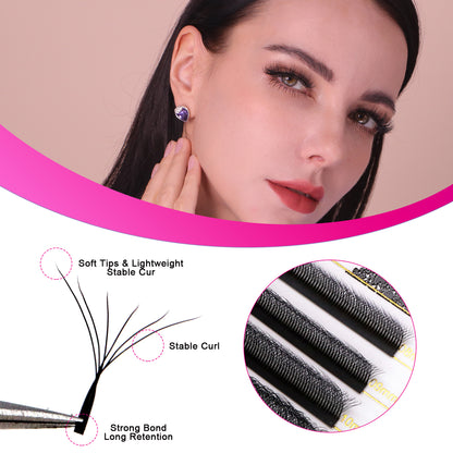 Pre Made W Shape Lashes 6D