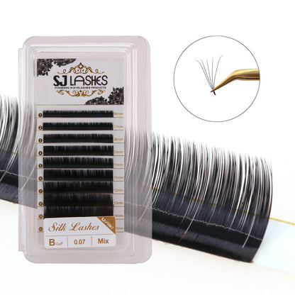 Individual Lashes B 07