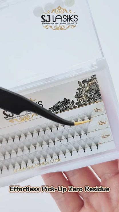 Pre Made Fan Lashes 10D